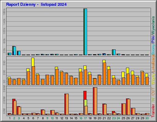 Raport Dzienny -  listopad 2024