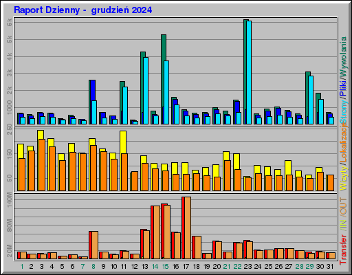 Raport Dzienny -  grudzień 2024