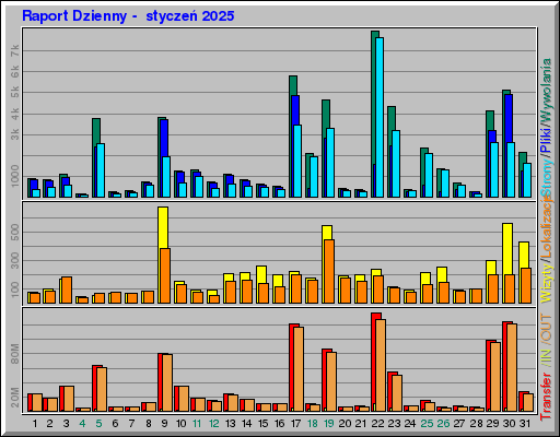 Raport Dzienny -  styczeń 2025