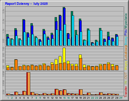 Raport Dzienny -  luty 2025