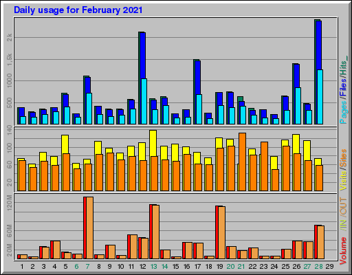 Raport Dzienny - luty 2021 Raport Dzienny - luty 2021
