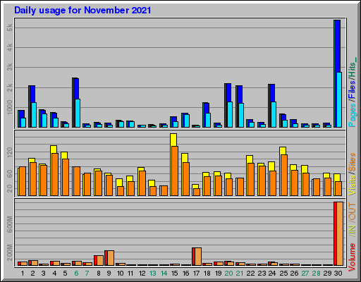 Raport Dzienny -  listopad 2021