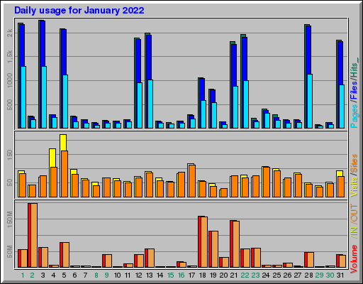 Raport Dzienny -  styczeń 2022