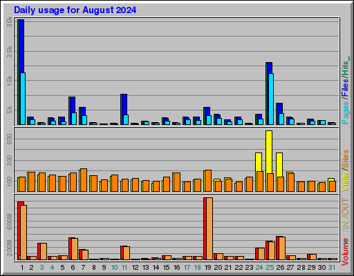 Raport Dzienny -  sierpień 2024