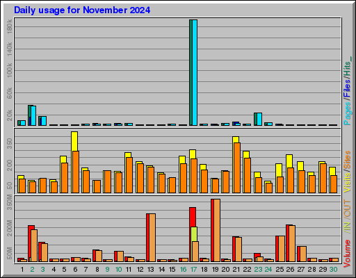 Raport Dzienny -  listopad 2024