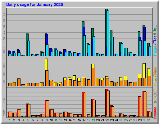 Raport Dzienny - styczeń 2025 Raport Dzienny - styczeń 2025