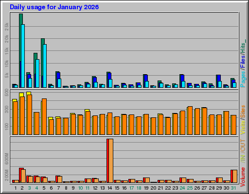Raport Dzienny -  styczeń 2026