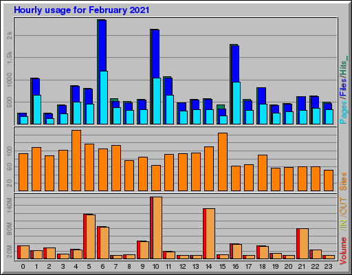 Raport Godzinowy - luty 2021 Raport Godzinowy - luty 2021