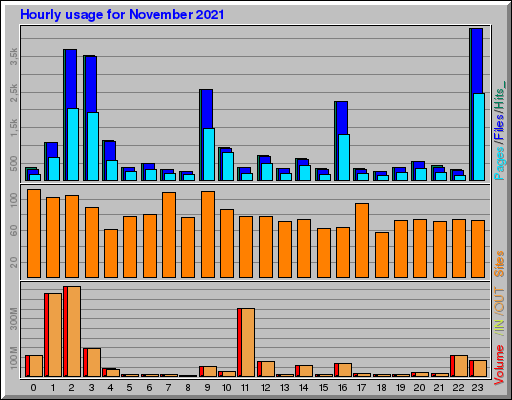 Raport Godzinowy -  listopad 2021