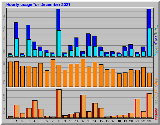 Raport Godzinowy - grudzień 2021 Raport Godzinowy - grudzień 2021