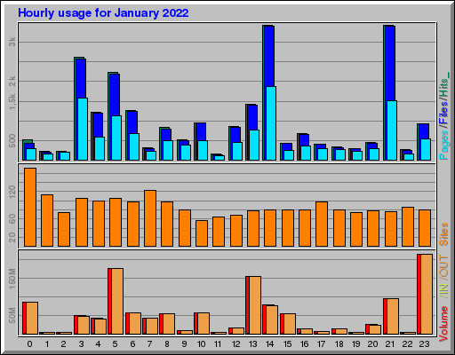Raport Godzinowy - styczeń 2022 Raport Godzinowy - styczeń 2022