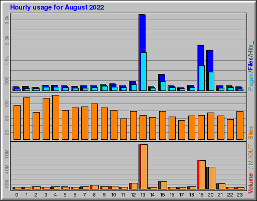 Raport Godzinowy -  sierpień 2022