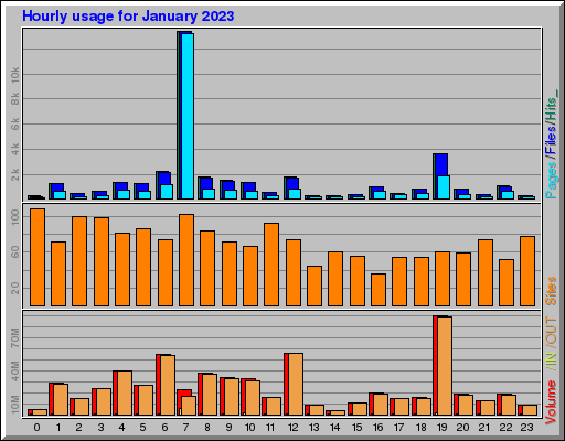 Raport Godzinowy -  styczeń 2023