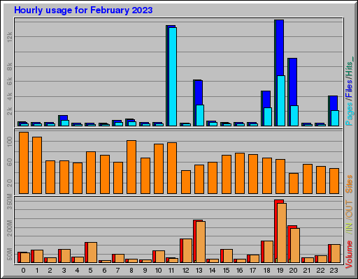 Raport Godzinowy -  luty 2023