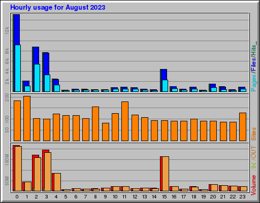 Raport Godzinowy -  sierpień 2023