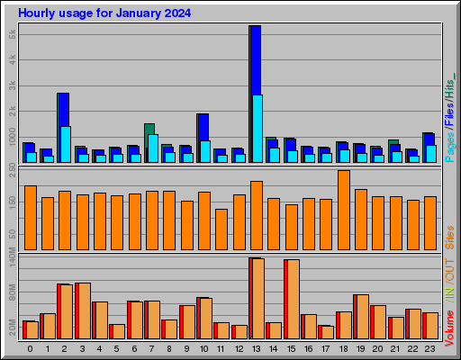 Raport Godzinowy - styczeń 2024 Raport Godzinowy - styczeń 2024