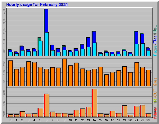 Raport Godzinowy -  luty 2024
