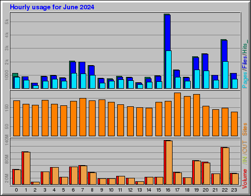 Raport Godzinowy -  czerwiec 2024