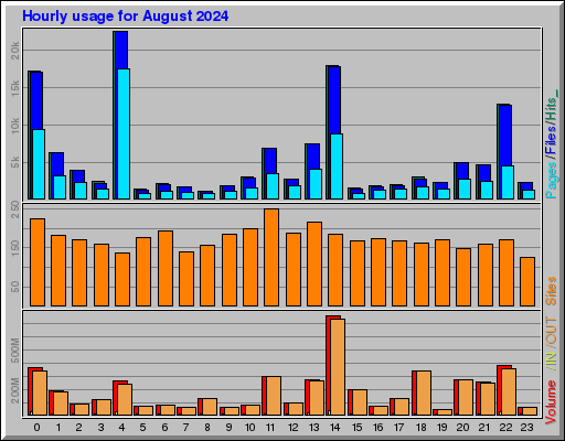 Raport Godzinowy - sierpień 2024 Raport Godzinowy - sierpień 2024