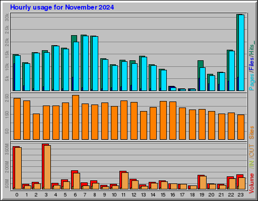 Raport Godzinowy -  listopad 2024