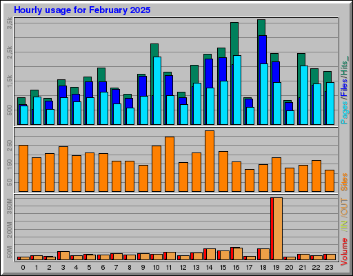 Raport Godzinowy -  luty 2025
