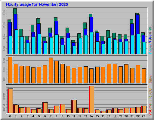 Raport Godzinowy -  listopad 2025