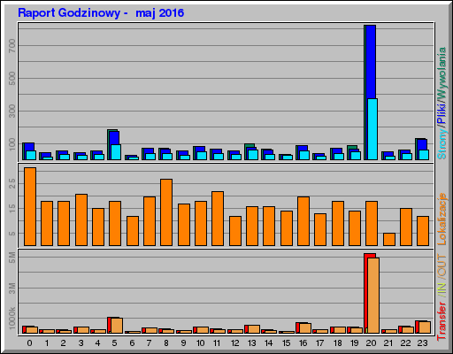 Raport Godzinowy -  maj 2016