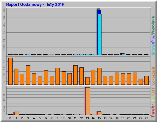 Raport Godzinowy -  luty 2019