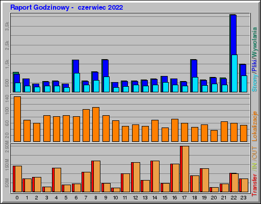 Raport Godzinowy -  czerwiec 2022