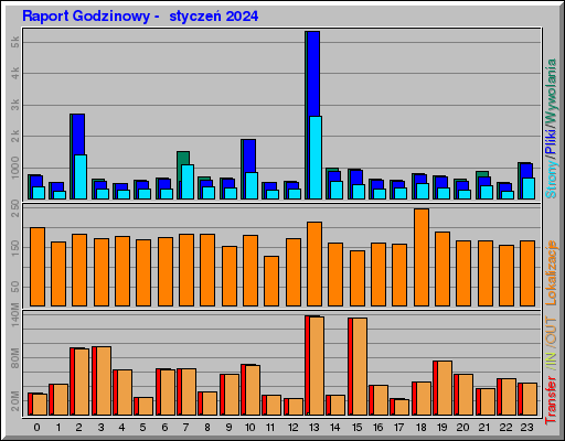 Raport Godzinowy -  styczeń 2024