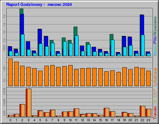 Raport Godzinowy -  marzec 2024