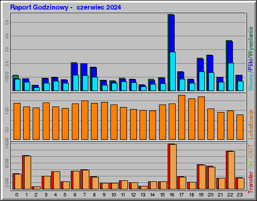 Raport Godzinowy -  czerwiec 2024