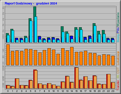 Raport Godzinowy -  grudzień 2024
