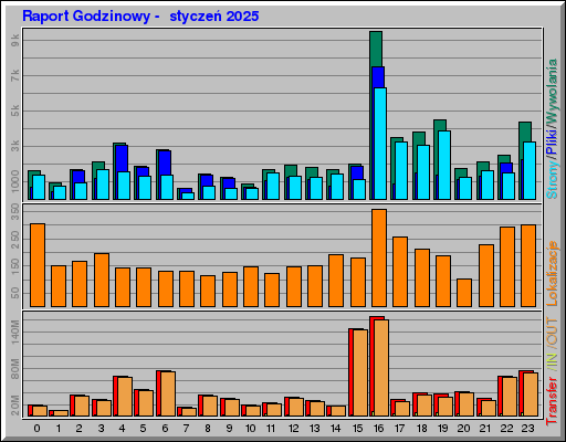 Raport Godzinowy -  styczeń 2025