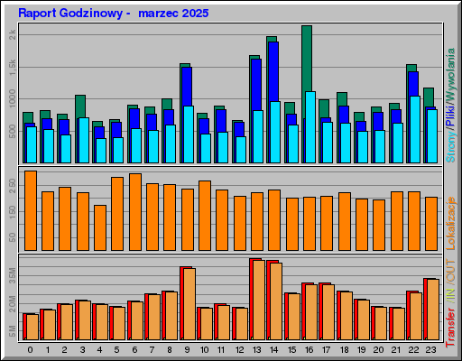 Raport Godzinowy -  marzec 2025