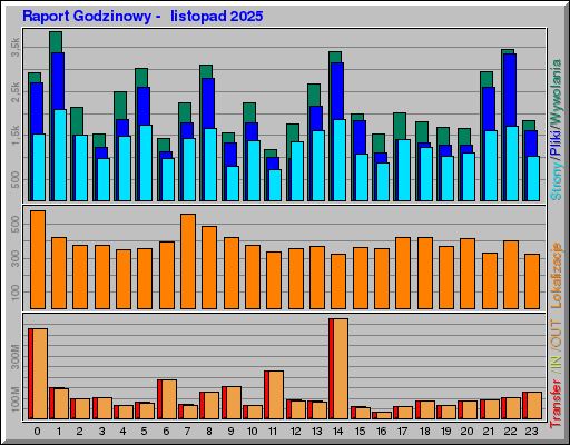 Raport Godzinowy -  listopad 2025