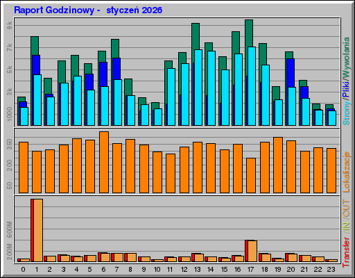 Raport Godzinowy -  styczeń 2026