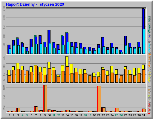 Raport Dzienny -  styczeń 2020