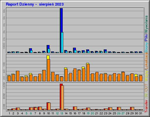Raport Dzienny -  sierpień 2023