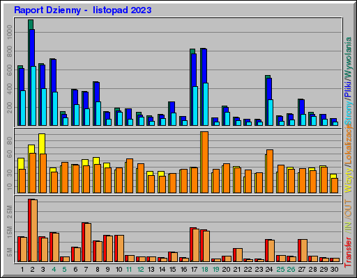 Raport Dzienny -  listopad 2023