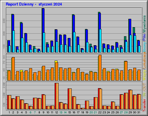 Raport Dzienny -  styczeń 2024