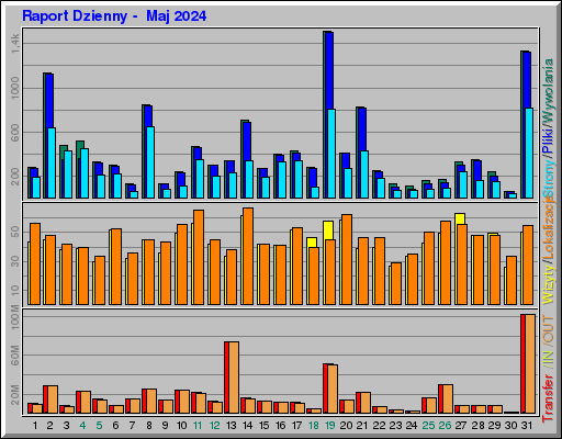 Raport Dzienny -  Maj 2024