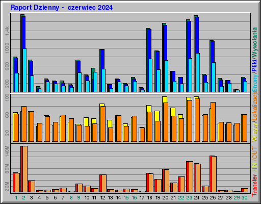 Raport Dzienny -  czerwiec 2024