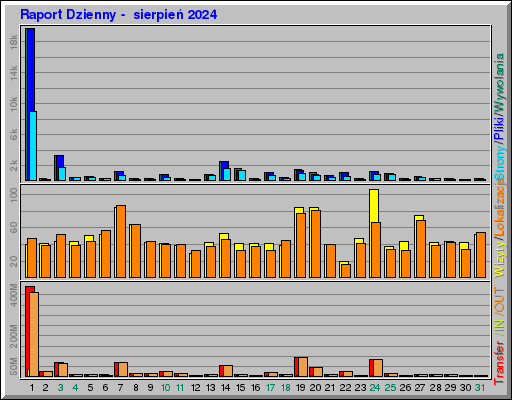 Raport Dzienny -  sierpień 2024