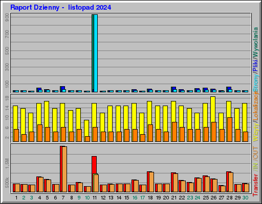 Raport Dzienny -  listopad 2024