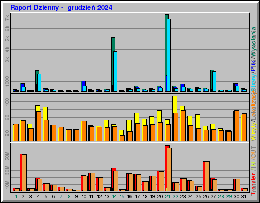 Raport Dzienny -  grudzień 2024