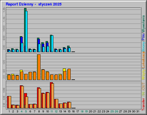 Raport Dzienny -  styczeń 2025