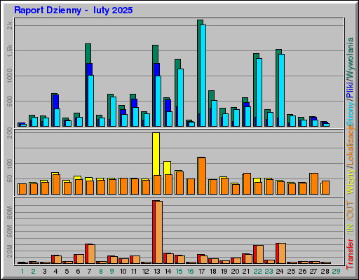 Raport Dzienny -  luty 2025