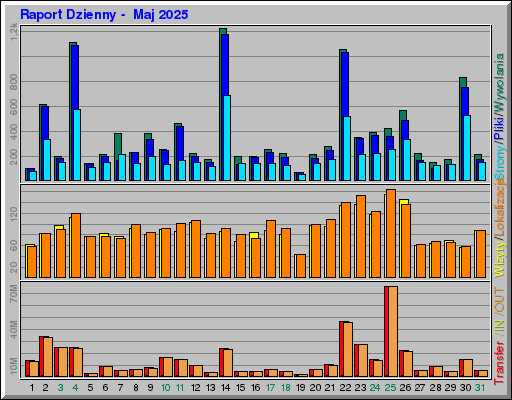 Raport Dzienny -  Maj 2025