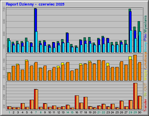 Raport Dzienny -  czerwiec 2025